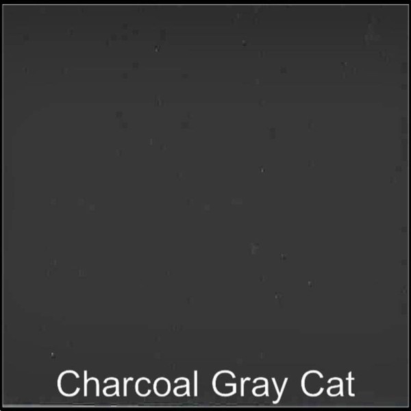charcoal gray cat charcoal gray cat